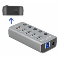 DELOCK USB hub 63263 με διακόπτες, 6x θυρών, 5Gbps, 12V/2.25A PD, γκρι