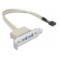 DELOCK κάρτα επέκτασης USB 9 pin σε 2x USB 2.0 83119, low profile