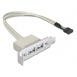 DELOCK κάρτα επέκτασης USB 9 pin σε 2x USB 2.0 83119, low profile