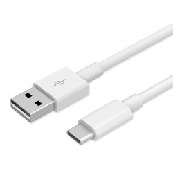 POWERTECH καλώδιο USB-C σε USB PTR-0182, 10W, 1m, λευκό
