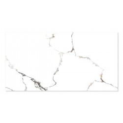 WINGRESS πλακάκι WNC-METAL-WHITE, 120x60cm, glossy finish, metal white, 2τμχ 1.44m²