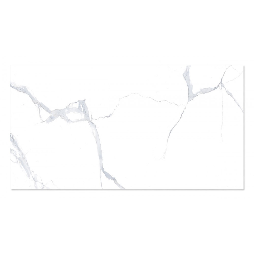 WINGRESS πλακάκι WNC-BELEN-WHITE, 120x60cm, glossy finish, belen white, 2τμχ 1.44m²