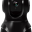 Συστ. Ασφαλείας