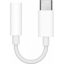 Apple Adattatore USB-C a Jack 3.5mm (MU7E2ZM/A)