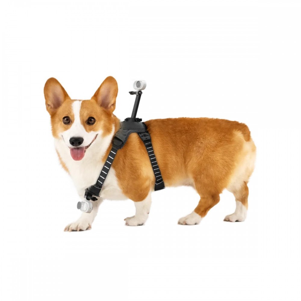 Insta360 Go 3/Go 3S Pet Harness Mount Size M Insta360 Go 3/Go 3S Pet Harness Mount Size M
