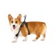 Insta360 Go 3/Go 3S Pet Harness Mount Size M Insta360 Go 3/Go 3S Pet Harness Mount Size M